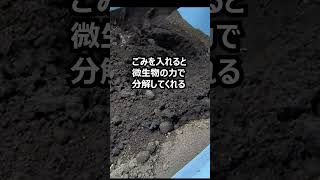 生ゴミ捨ててません！！笑 #キエーロ #shorts