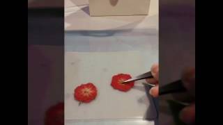 押し花を使ってのレジン作りです