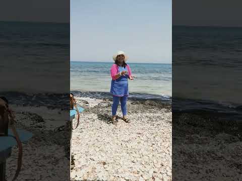 شاطئ المهندس الكوكياح