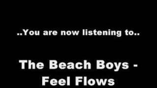 The Beach Boys - Feel Flows