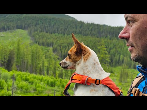 Pampi na lanovkách v Tatrách časť 1.