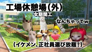 女子期間工と話したら好きになった09話【猫ミーム】