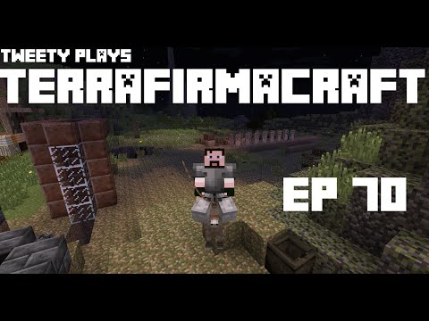 Tweety plays Terrafirmacraft ep 70 - Time that horse