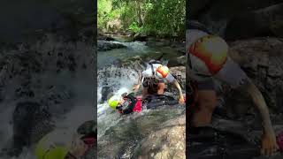 Cuối tuần c&ugrave;ng nhau trốn phố về rừng, vượt th&aacute;c tại Đ&agrave; Lạt đi 💦🌿