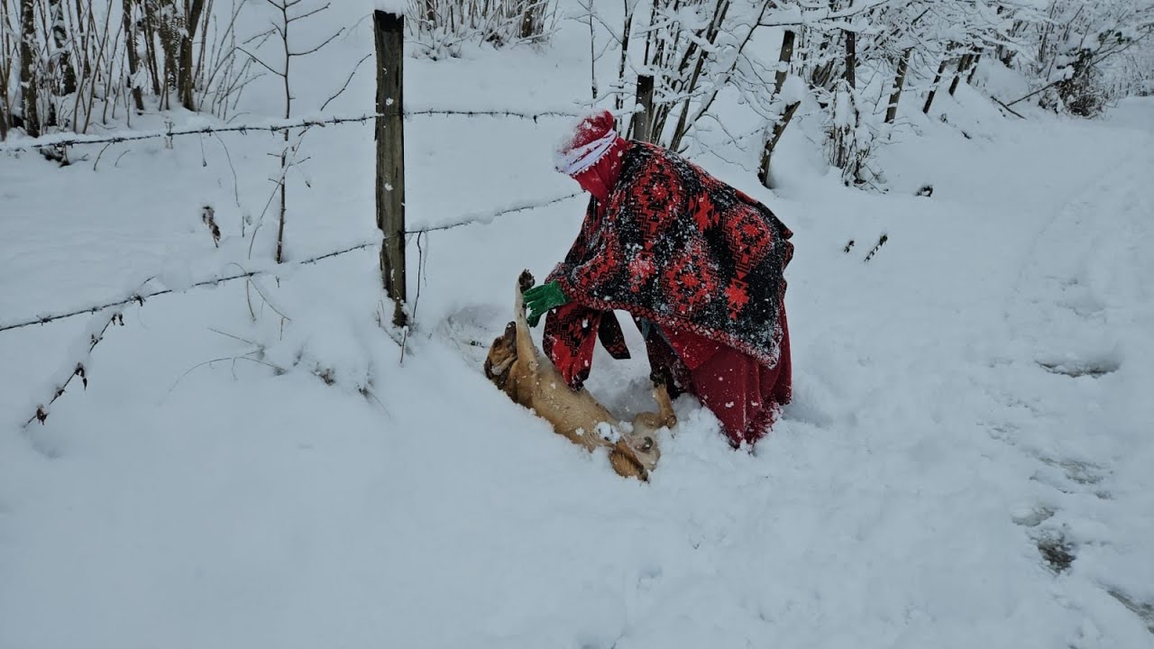 ‼️YENİ YILIN İLK KARI GELDİ ÇOCUKLAR GİBİ FIRTINAYLA EĞLENDİK  🥰🥰
