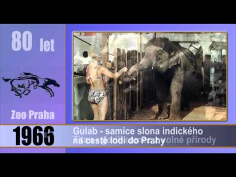 Zoo Praha v proměnách času