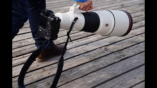 Video thumbnail for Sony | Lens | FE 600mm F4 GM OSS | Product Feature by Sony India