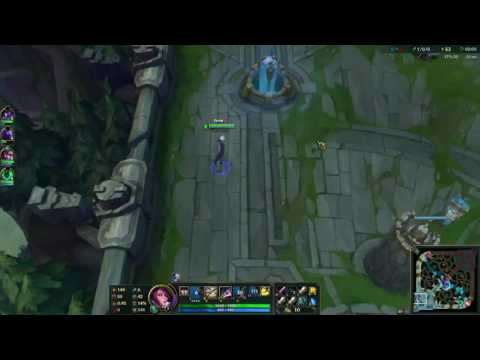 Fiora vs Poppy