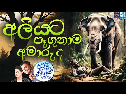 Siyatha FM MORNING SHOW 2025 06 25 | අලියට පෑගුනාම අමාරුද