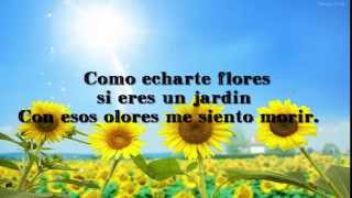 Aterciopelados - Florecita Rockera con letra