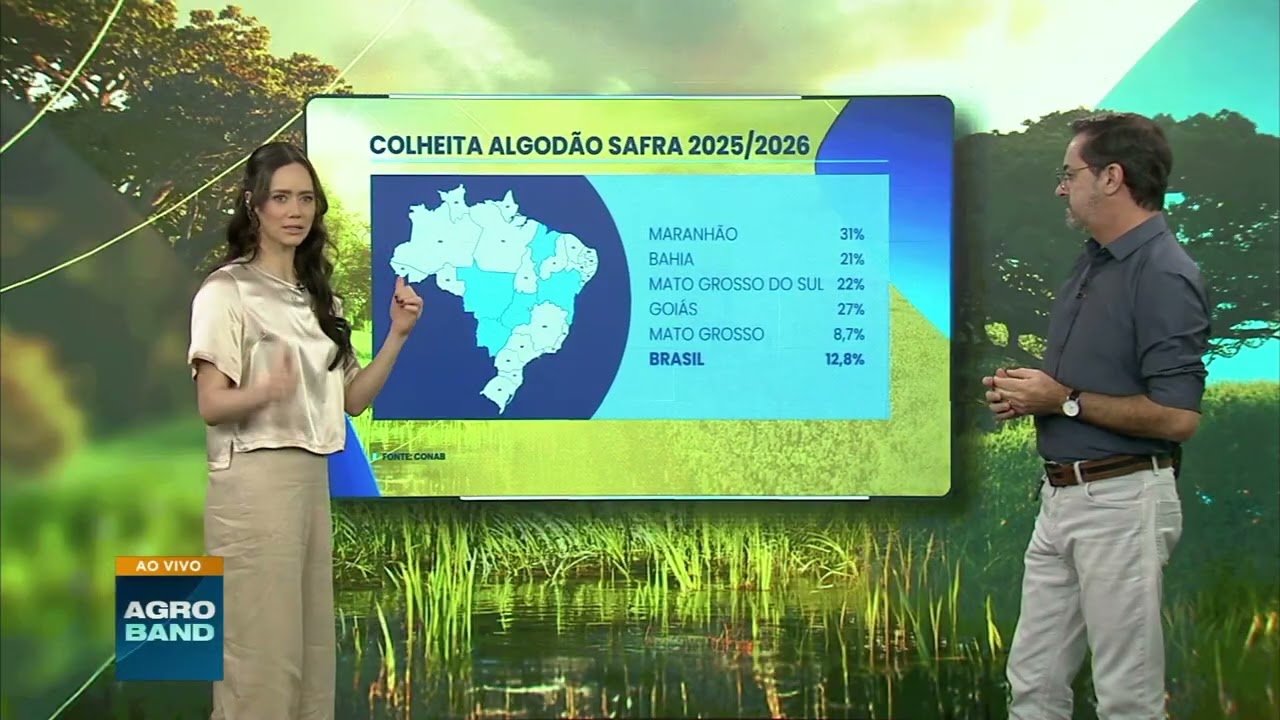 Conab mostra avanço da colheita de algodão e milho no Brasil