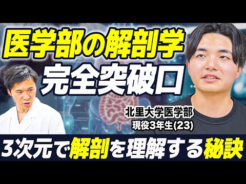 医学科 【解剖学の乗り切り方】北里大学の現役医学生に、解剖学の勉強法を聞きました！