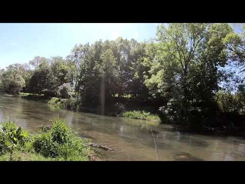 The last step to Polish Spinning Team. GPX Polski, liga brzegowa San 12.05.2018