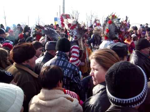 Trupa de la Dumesti 31.12.2010