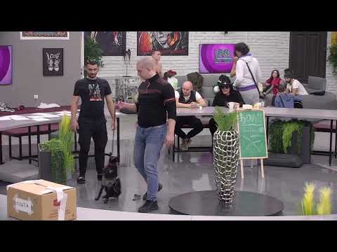 MICAS SETA PSA PO KUCI - 10.12.2022. - INSTA TV