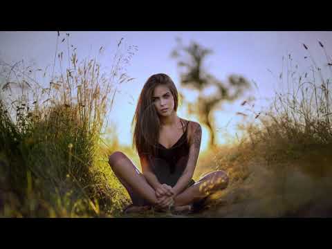 Zito & The Shakerz feat. Alray - Feel Alive (Anton Ishutin Mix)