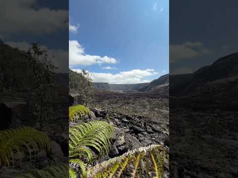 Laguna Blanca: Espejo del Cielo en la Patagonia Argentina