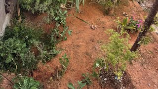 Leis herméticas  7 estou me conectando com as energias 