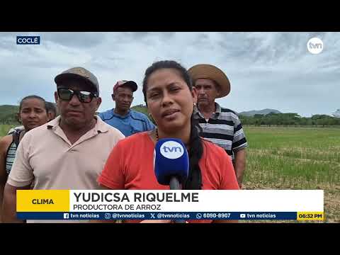 Denuncian severos daños en cultivos de arroz tras más de dos meses sin precipitaciones en Natá