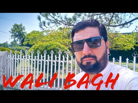 Wali Bagh Bahlola Charsadda hujra Abdul wali khan, Sangeen Wali khan