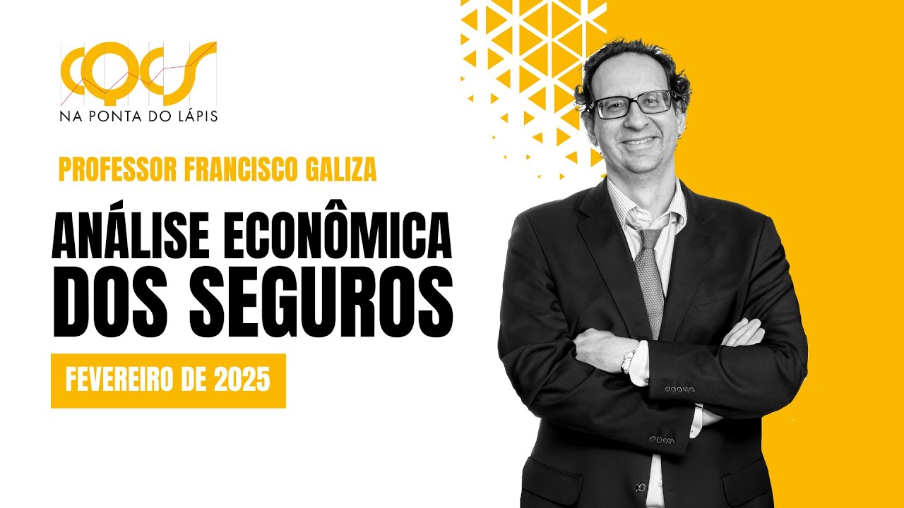 DADOS DE SEGUROS DE 2024 FECHADOS