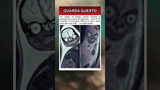 Dopo aver visto questo…