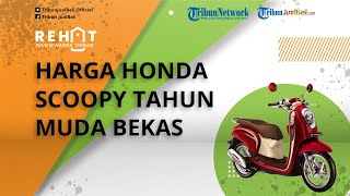 REHAT: Harga Honda Scoopy Tahun Muda Bekas Dibanderol Mulai Rp 10 Jutaan
