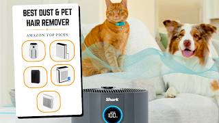 5 Best Air Purifiers That Actually Remove Pet Dander (2026)