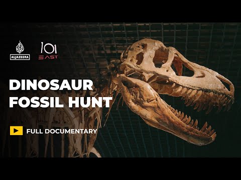 Dinosaurs for sale: Is the global fossil market harming science? | 101 East Documentary