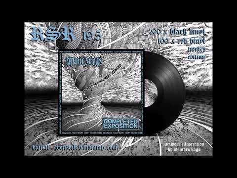 WOJCZECH / COMPLETED EXPOSITION "PROGRESS& HARMONY REWIND" SPLIT LP 2019