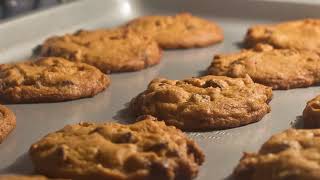 Desdemona&#39;s Building a Rocket Ship - Fingerstyle with Digitech Trio +