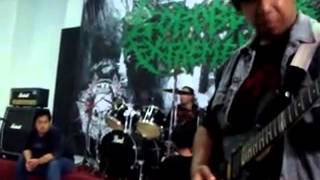 04 ABNORMAL RISK   MISPLACED ANGER JUNGLE ROT COVER x264