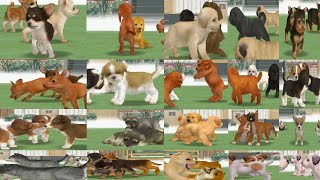 Nintendogs Lab And Friends (All Kennel Puppies Breed)