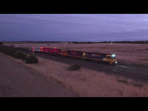 1MP2 Pacific National Steel & Container Freight Train (19/3/2023) - PoathTV Railway
