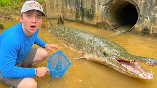 Download lagu CATCHING INVASIVE FISH in FLOODED SWAMP! mp3 Download lagu CATCHING INVASIVE FISH in FLOODED SWAMP! mp3