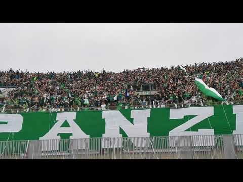 "Los Panzers SW" Barra: Los Panzers &bull; Club: Santiago Wanderers
