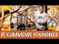 Babybeertjes eten geven!!! ? | DierenpraatTV