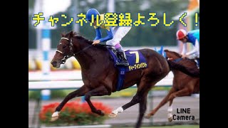 ディープインパクトの名場面集！