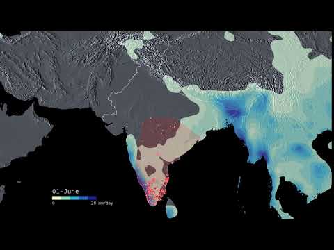 The Pied Cuckoo and the South Asian Monsoon