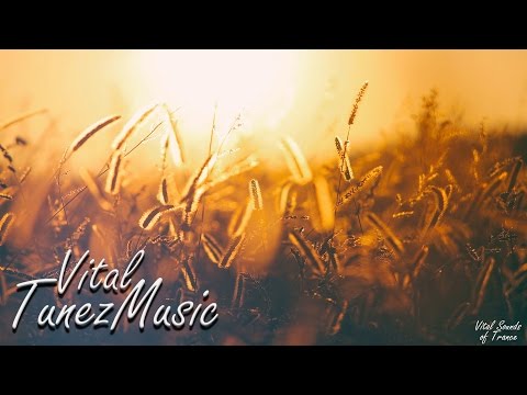 Paul Arcane & Nick Callan - Hope (Original Mix)