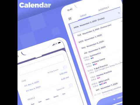 Family Snap -  Home Organizer Video