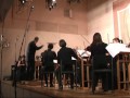 В.А.Моцарт Маленькая ночная серенада 