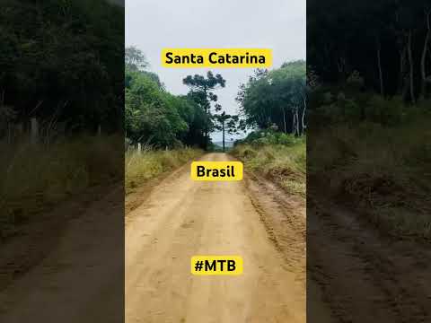 Campos Novos- Santa Catarina - SC - Brasil 🇧🇷- #MTB