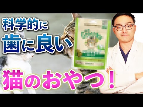 猫の虫歯 - 症状、治療、予防