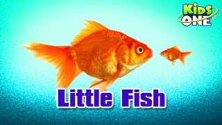 Little Fish || Hindi Animated Stories || Kids Animated Stories