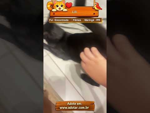 Vídeo de Lili
