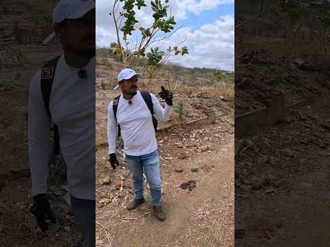 eu estou na antiga vila de couro Dantas na zona rural de riacho das almas Pernambuco