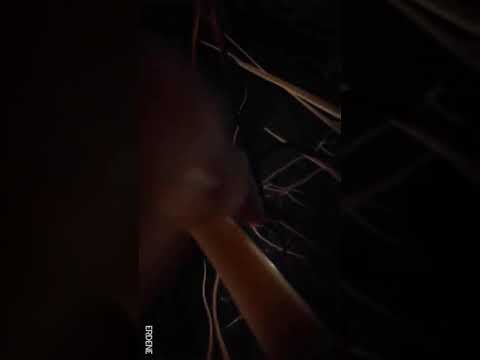 Saffron Bane - Chimee ft BLEJ