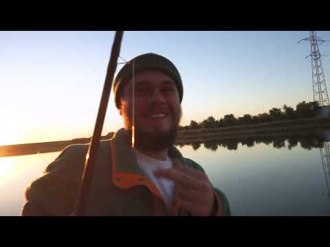 Berindean Mihnea is Terra