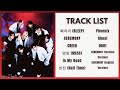 Stray Kids KARMA Full Album Audio Only 🩷